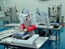 �_�ϲ������{���b�C�F������